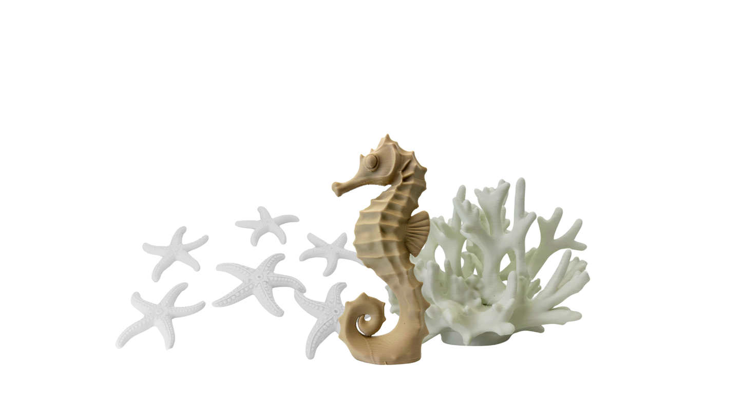 Set de Mar Decorativo Coral Blanco