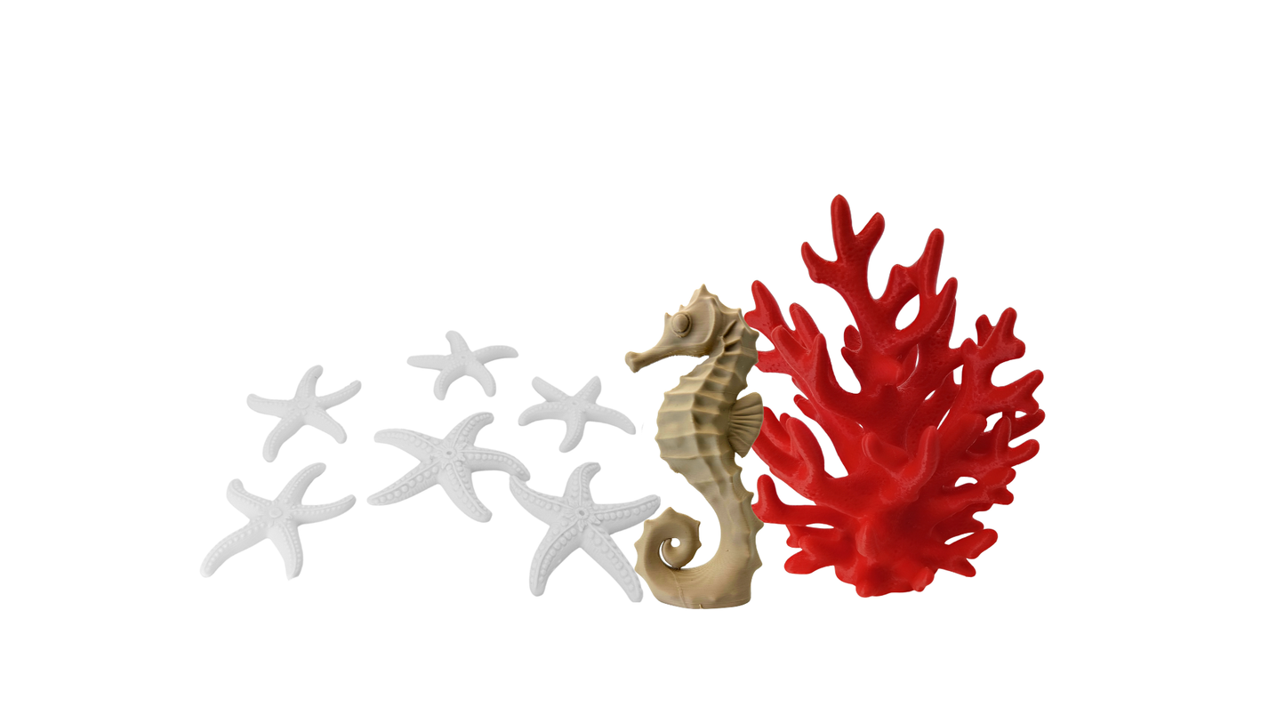 Set de Mar Decorativo Coral Rojo