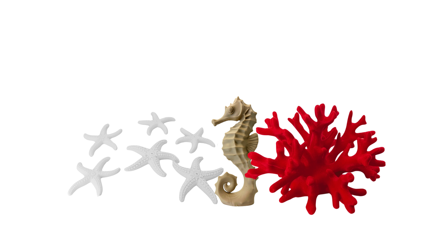 Set de Mar Decorativo Coral rojo