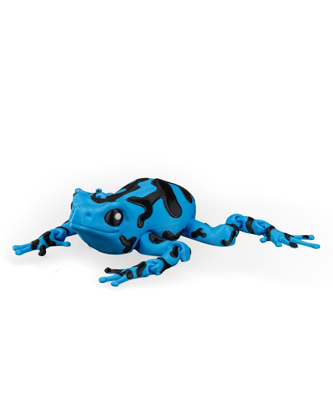 Rana Azul