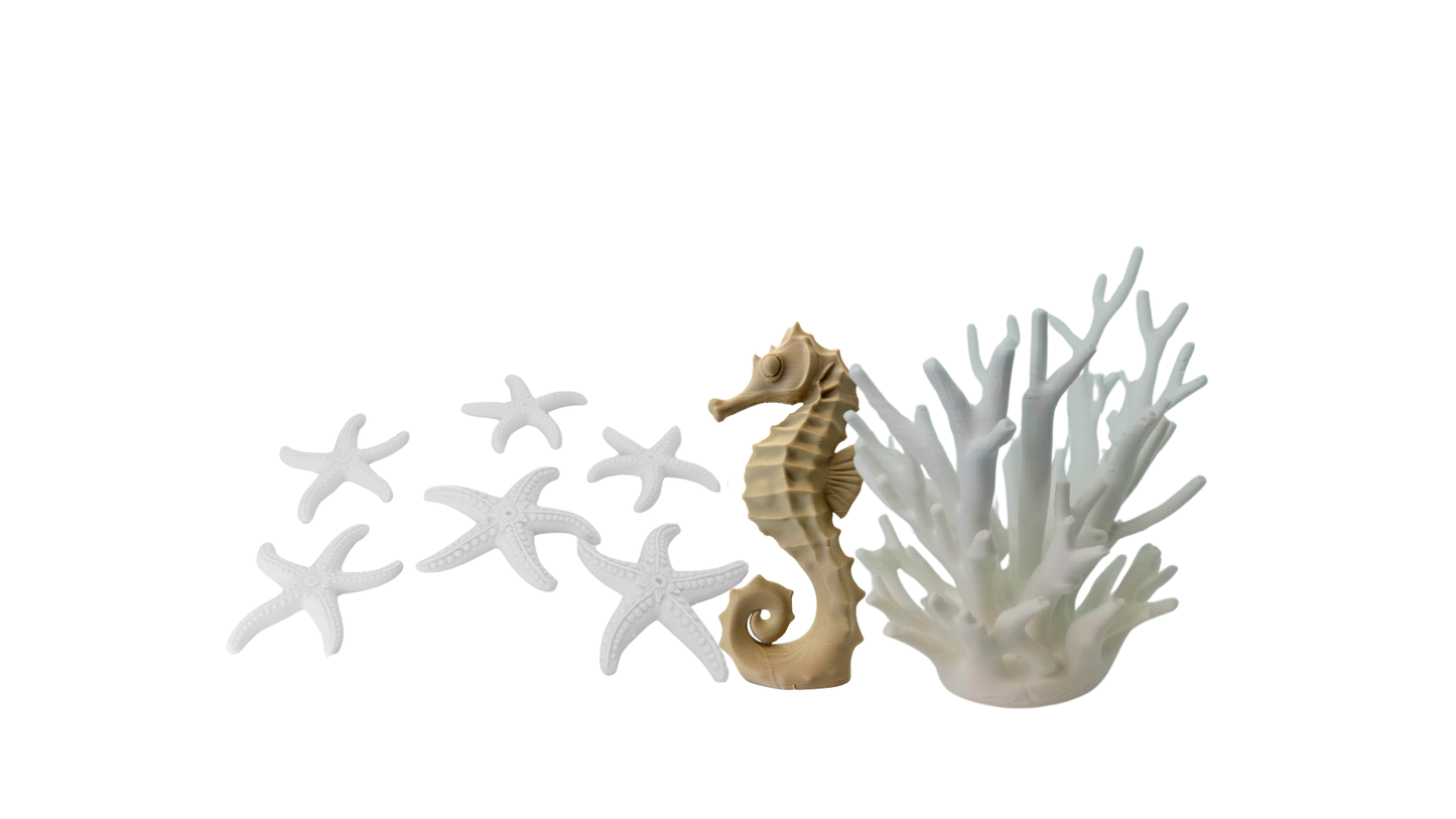 Set de Mar Decorativo Coral Blanco