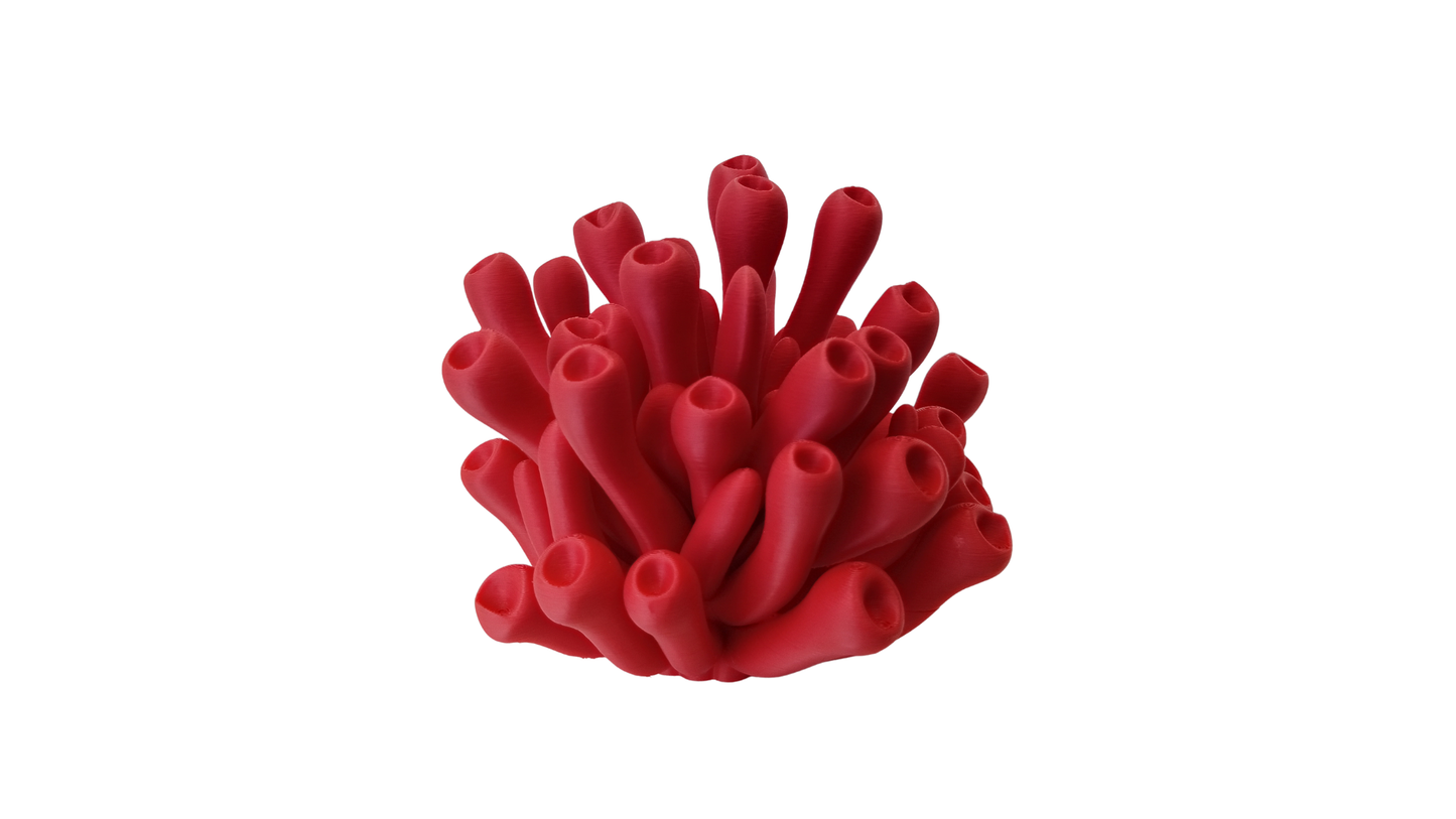 Anemona Coral Grande