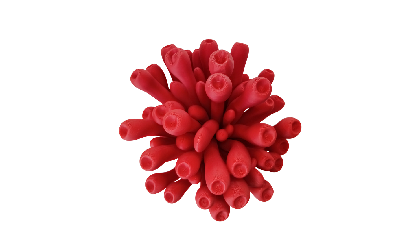 Anemona Coral Grande