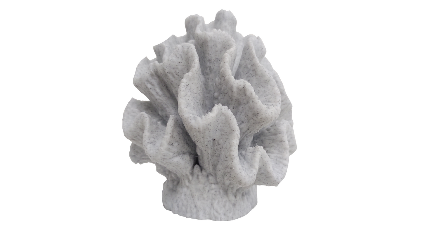 Coral granito