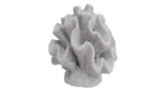 Coral granito