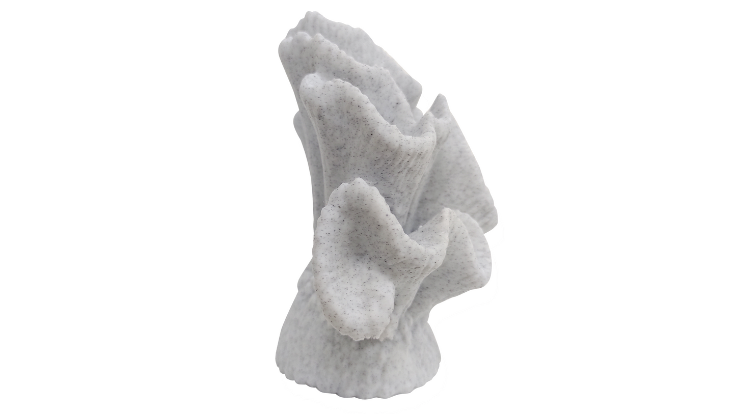 Coral granito