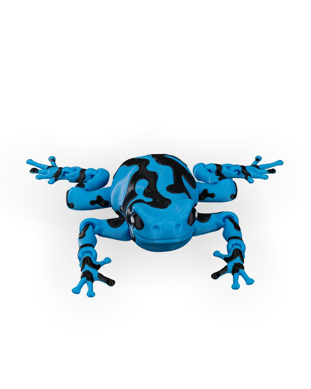 Rana Azul