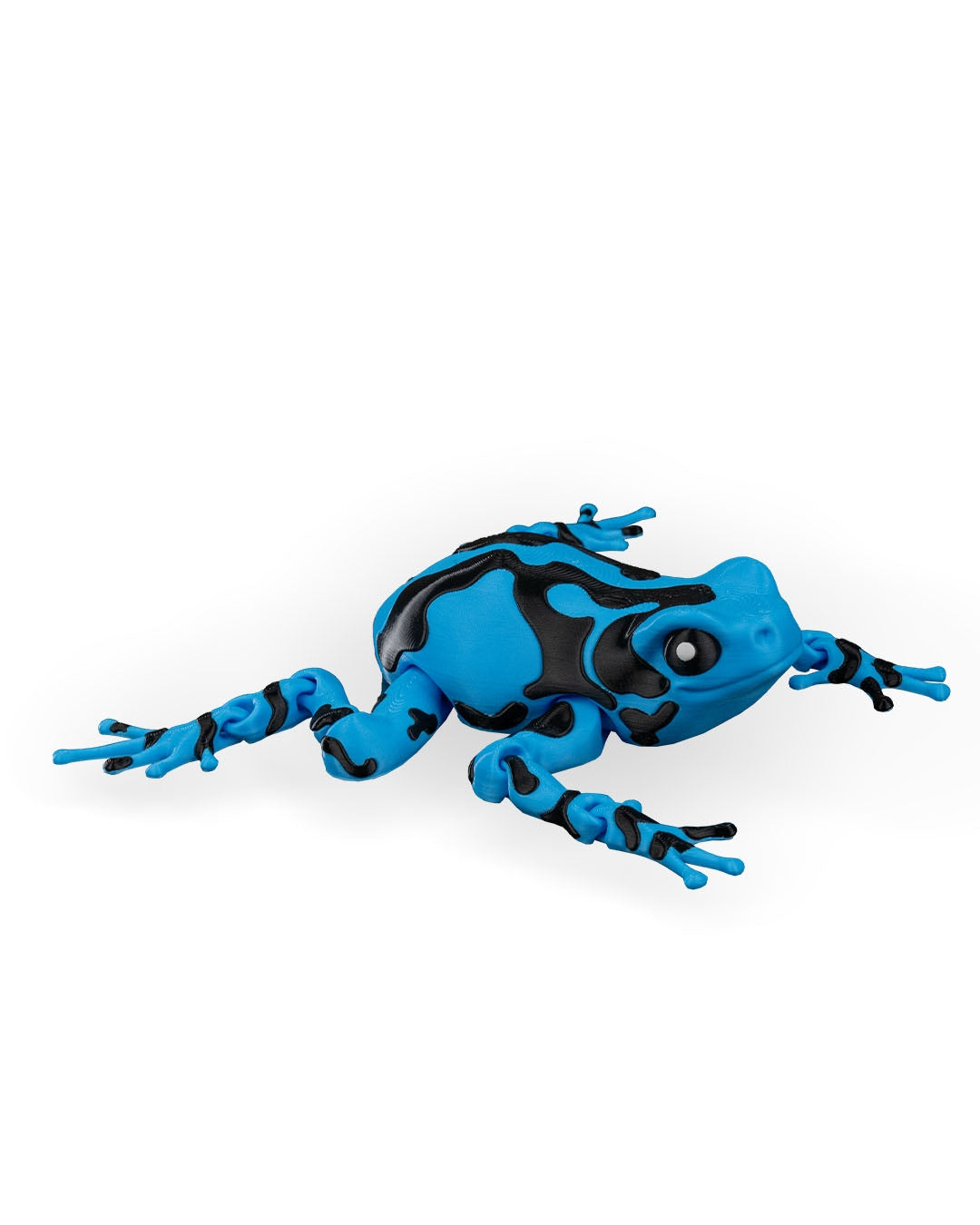 Rana Azul