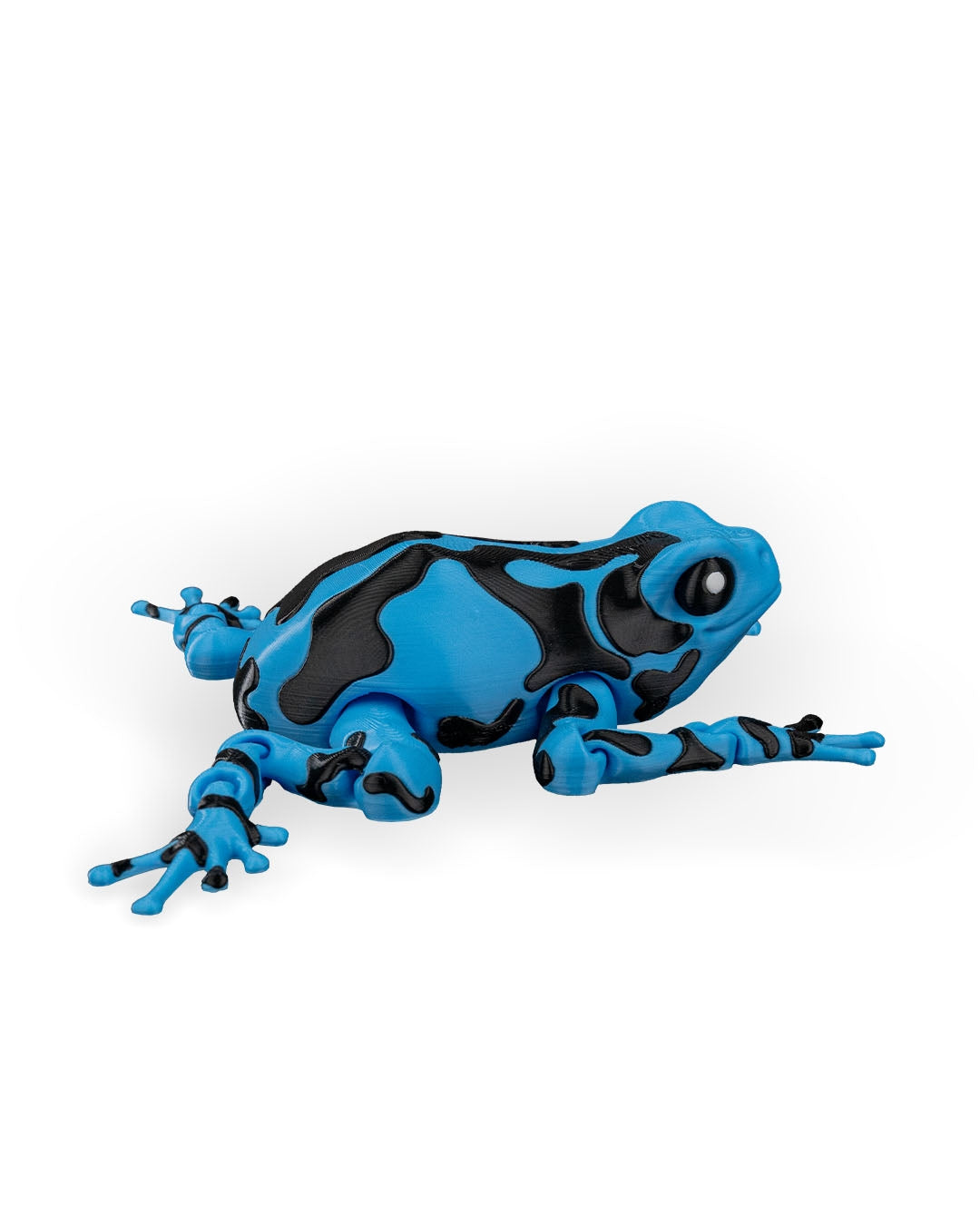 Rana Azul