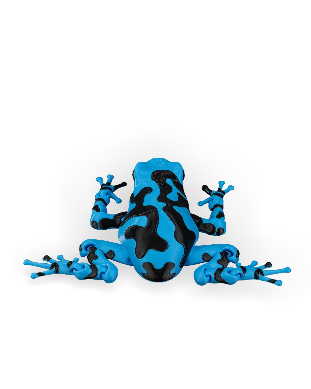 Rana Azul