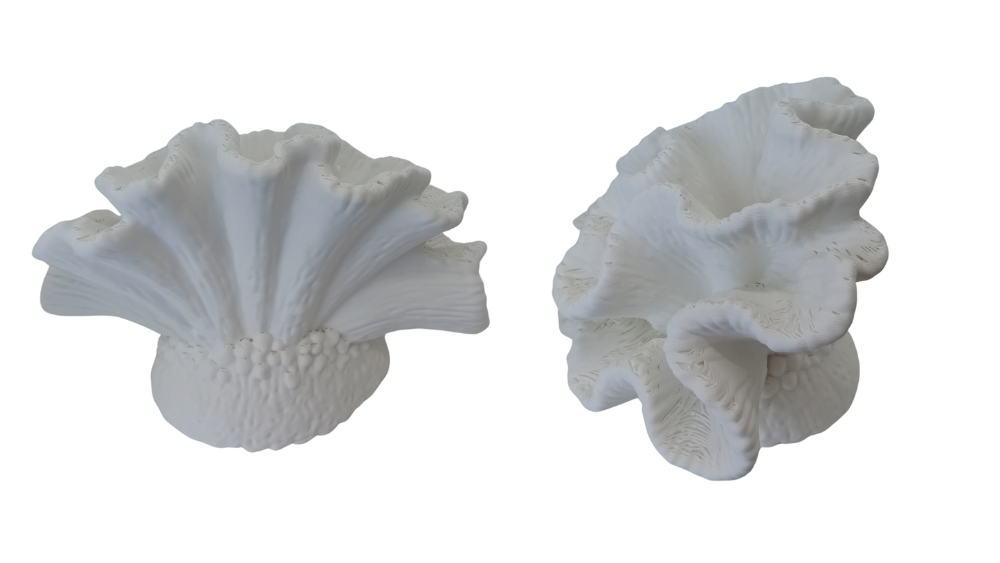 Coral Decorativo Blanco