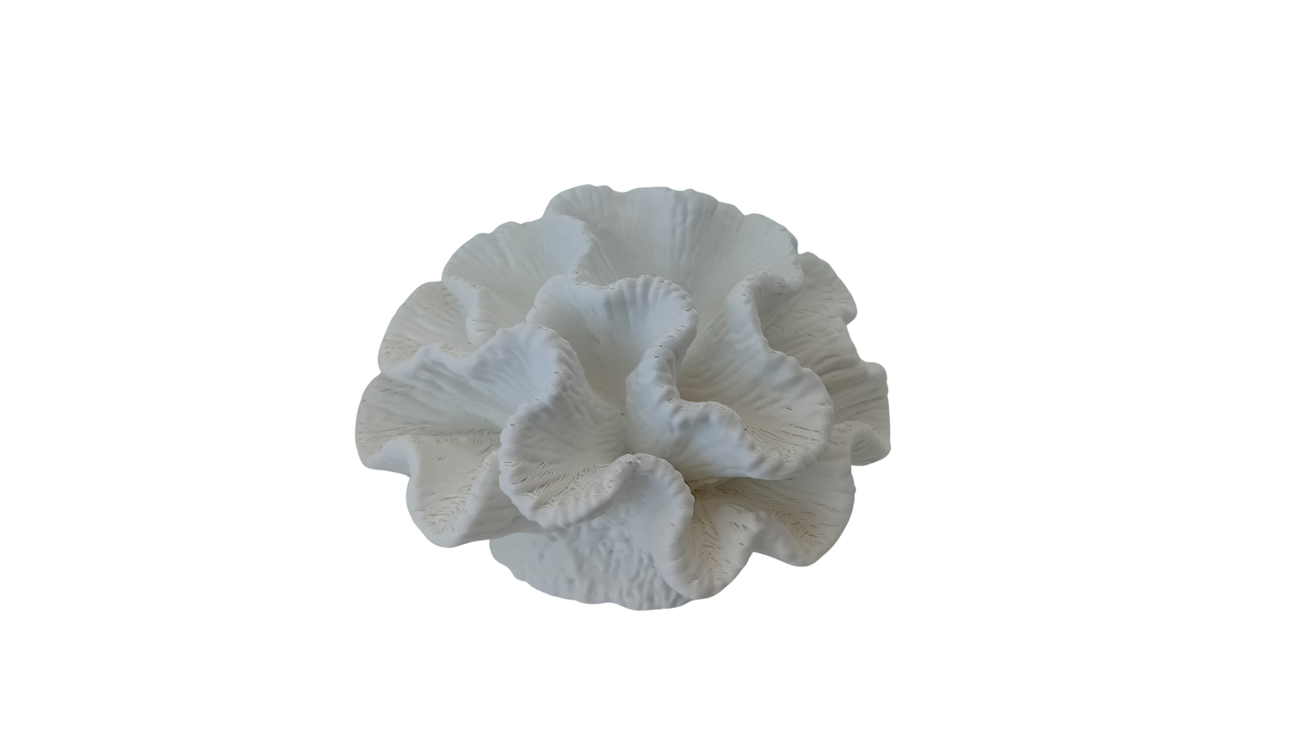 Coral Decorativo Blanco